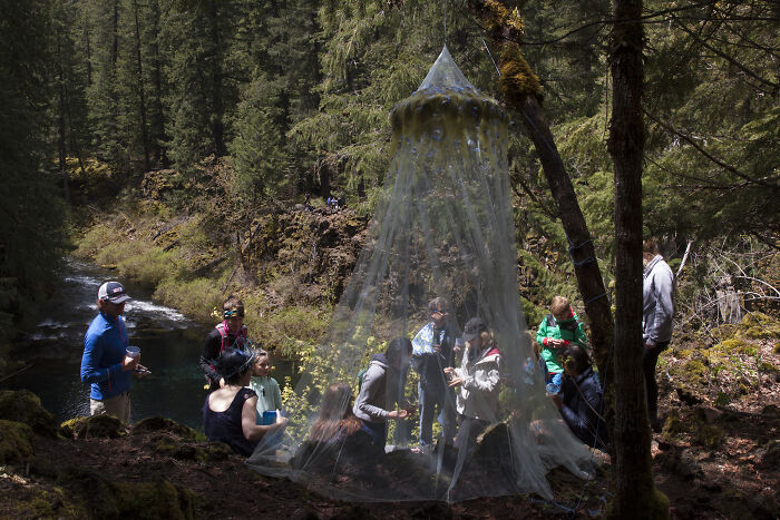 I Carried 50 Lbs Of Handmade Artwork Into The Oregon Wilderness For The Best Mother’s Day Surprise Ever I Carried 50 Lbs Of Handmade Artwork Into The Oregon Wilderness For The Best Mother’s Day Surprise Ever