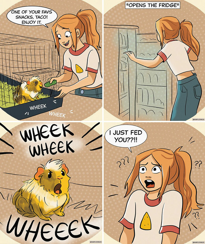 Girl feeding guinea pig in a comic strip depicting everyday situations by Mary Nicola with humorous reactions.