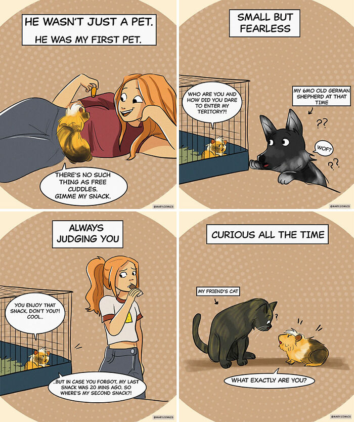 Comic panels showing everyday pet interactions with a guinea pig, dog, and cat in 29 new comics by Mary Nicola.