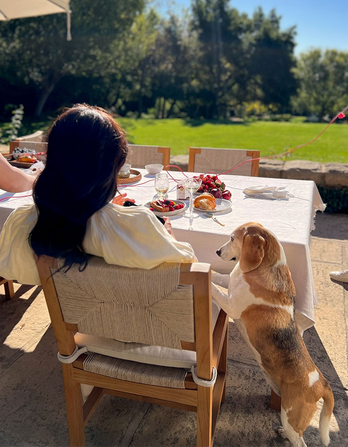 Woman seated at table outdoors with dog standing beside chair in a sunny Montecito garden scene.