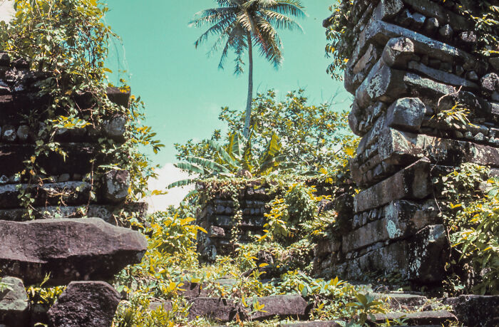 Ancient stone ruins overgrown with vegetation and a palm tree under a clear blue sky, a stunning UNESCO treasure.