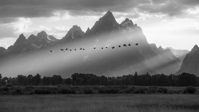 Black and white mountain landscape with sun rays and a flock of birds flying, featured in one shot photo contest winners.