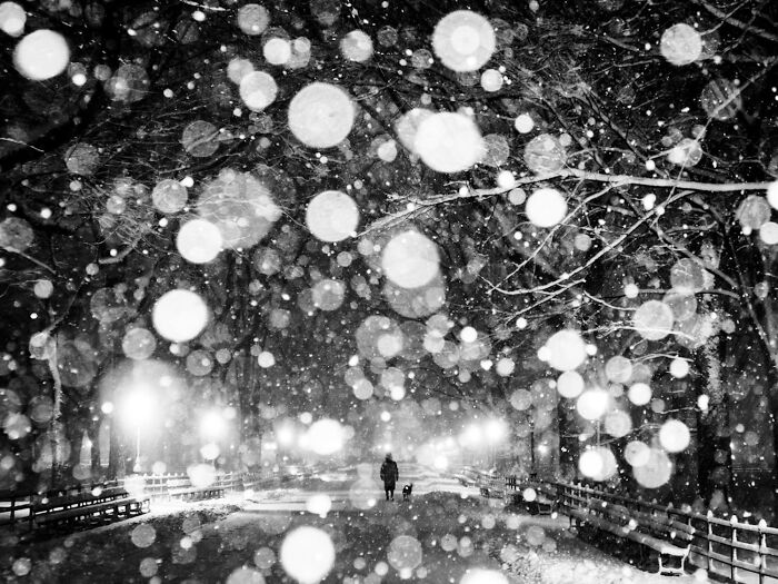 Black and white photo of a snowy night with blurred snowflakes highlighting the power of a single frame from the photo contest.