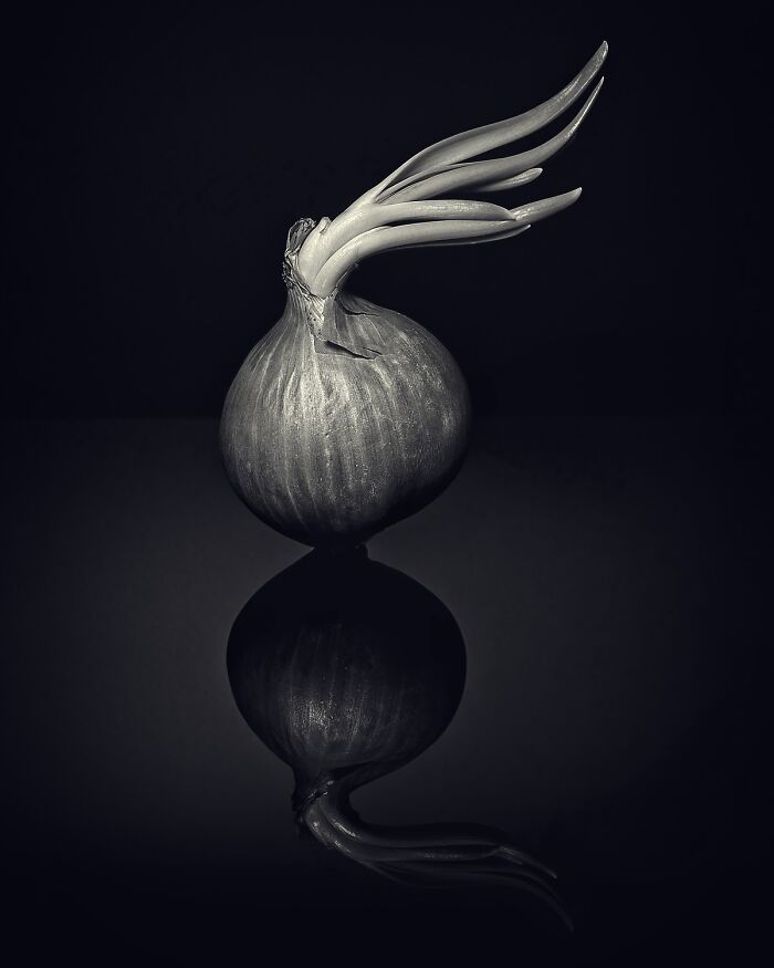 Black and white artistic photo of a sprouted onion with its reflection, showcasing the power of a single frame.