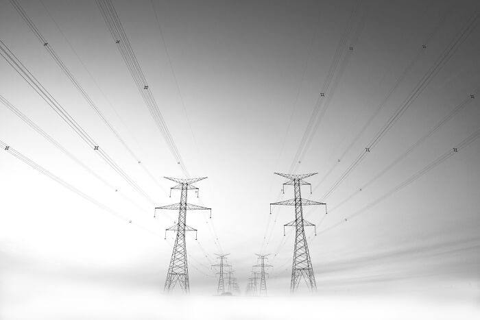 High contrast black and white photo of power lines and towers emerging through morning fog, showcasing striking composition and detail.