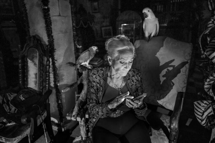 Elderly woman using smartphone indoors with two parrots, showcasing the power of a single frame in photography.