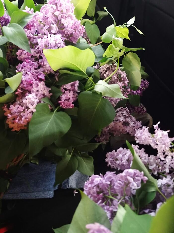 Painting Above The Blossoms: My Spring Plein Air Journey In Ukraine (7 Pics)