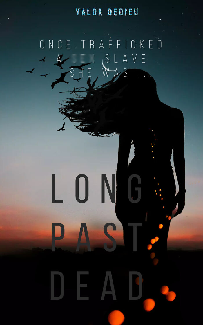 Here Are Book Covers That I Used To Illustrate My Stories