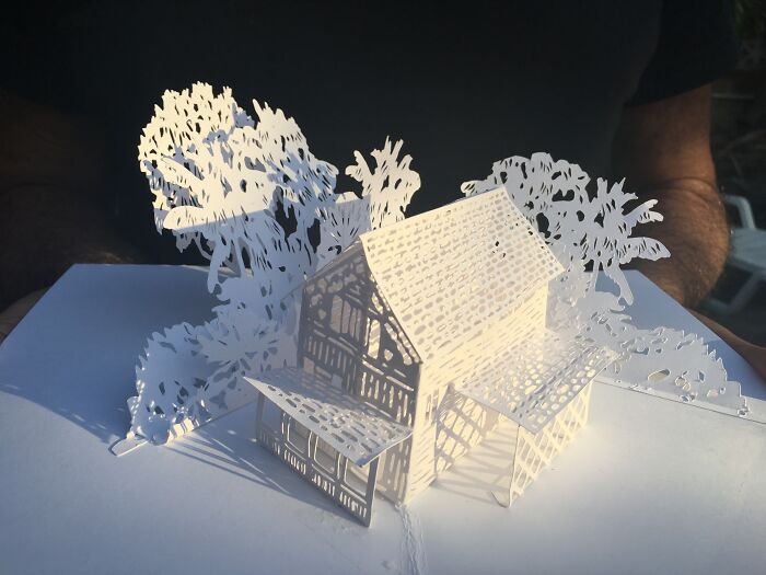 Intricate paper art of a detailed house and trees, showcasing delicate craftsmanship and shadow play on a white background.