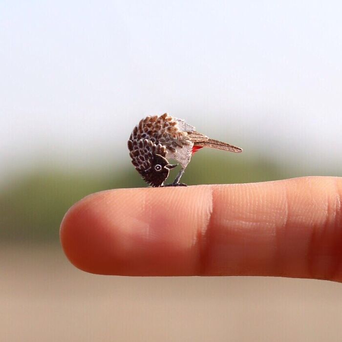 Tiny, intricate paper art bird perched on a human finger, showcasing colorful and detailed craftsmanship in paper art.