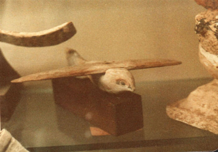 Ancient wooden bird artifact with outstretched wings displayed among bizarre historical artifacts in a museum setting.