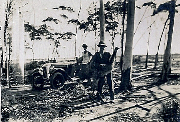 Two men standing in a forest clearing with an ostrich near an old car, illustrating animals messing with humans.