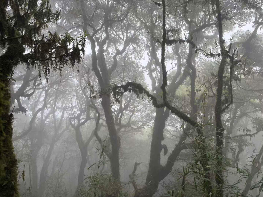 Trip From Yunnan, China