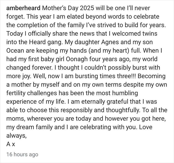 Amber Heard shares joy of twins' birth while facing brutal response about potty training challenges. Amber Heard shares joy of twins' birth while facing brutal response about potty training challenges.
