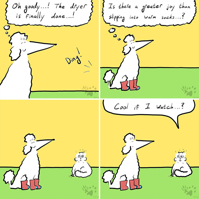 Comic panels showing a dog and cat wearing boots, humorously exploring pets' thoughts when left home alone.