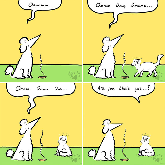 Comic panels showing a dog and cat meditating and talking, exploring what pets say when left home alone in Gracks And Gribs.
