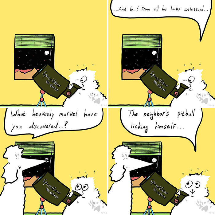 Comic strip showing two pets talking humorously about what pets talk about when left home alone using a telescope at night.