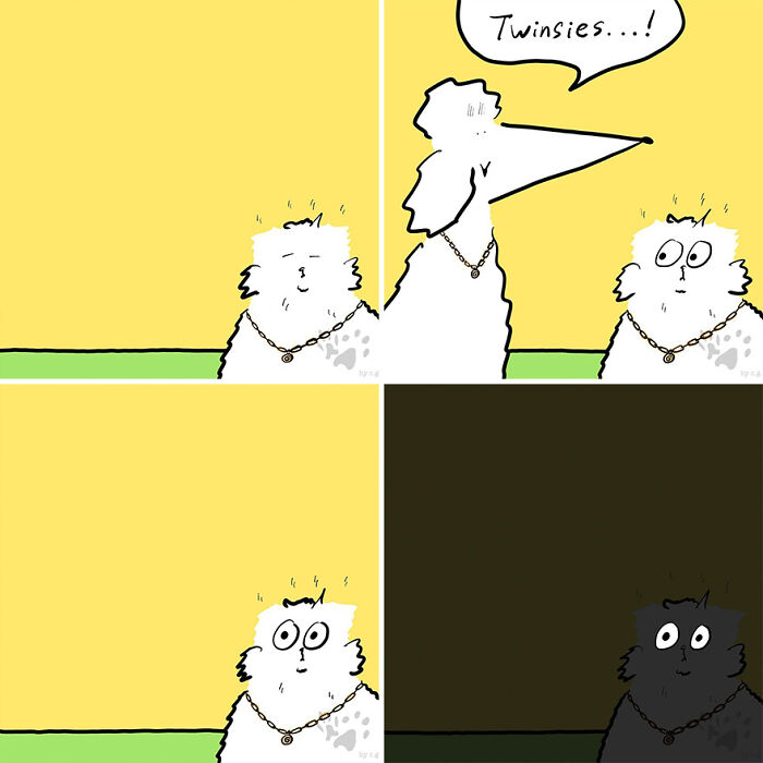 Cartoon comic panels showing two white cats and one dog discussing pets talking when left home alone.