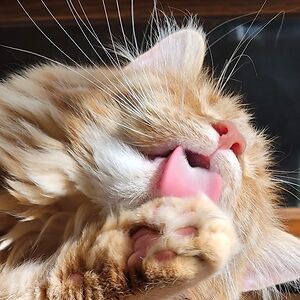 bookfanatic1979 avatar