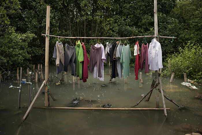 Clothes hanging on a bamboo rack over water in a mangrove forest, showcasing everyday life in mangrove photography.