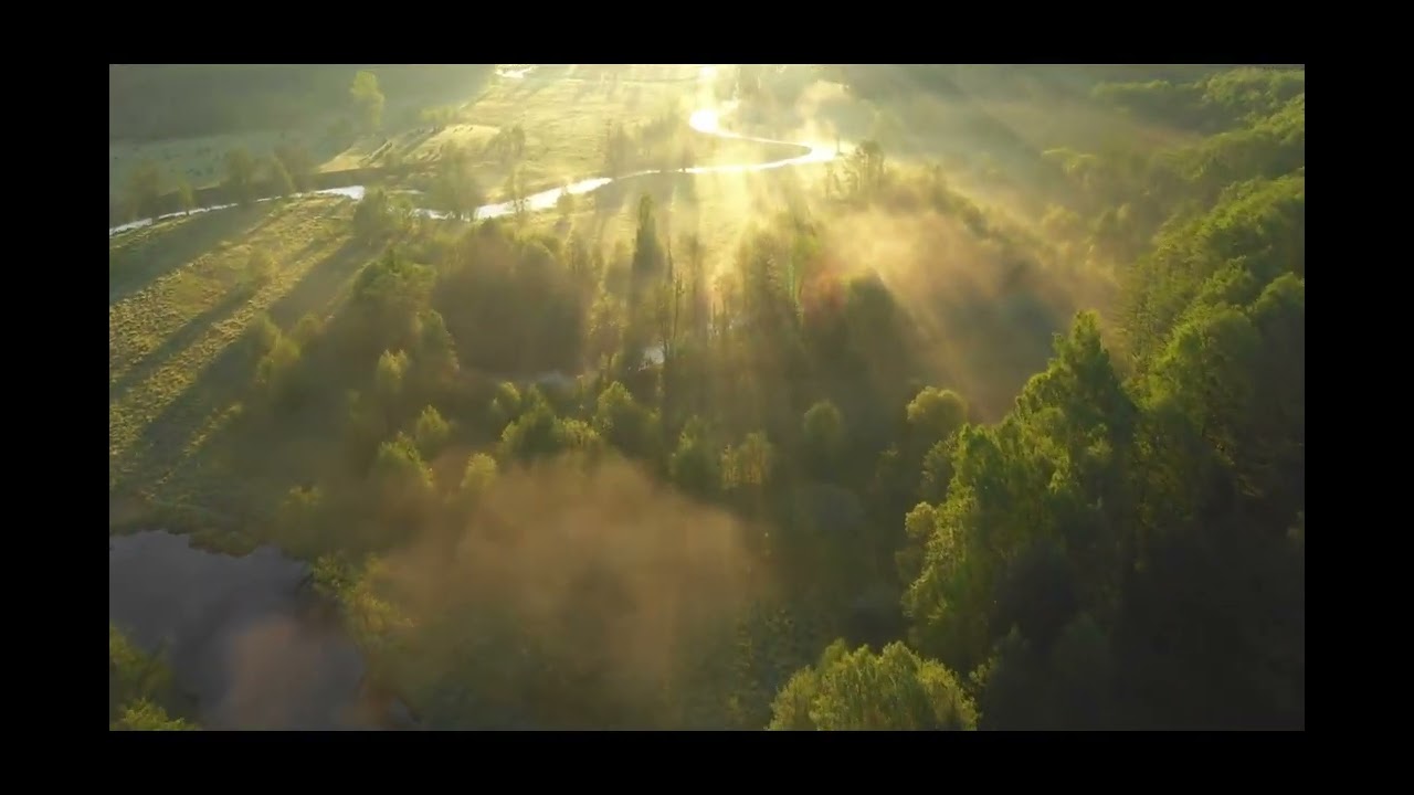 Garrett Dwyer-The Last Farewell