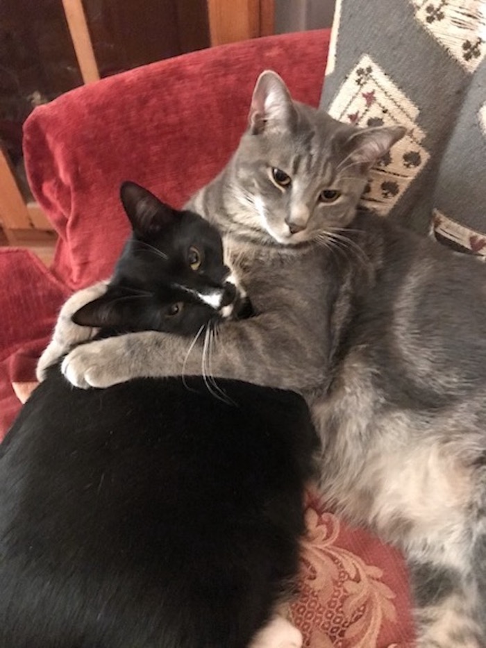 Best Friends Forever