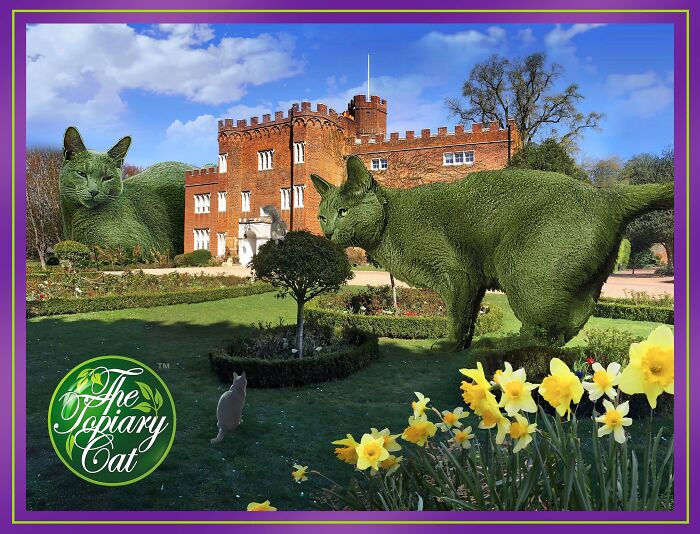 Two large cat-shaped bushes digitally edited into a garden scene in front of a castle, showcasing creative cat bush art.