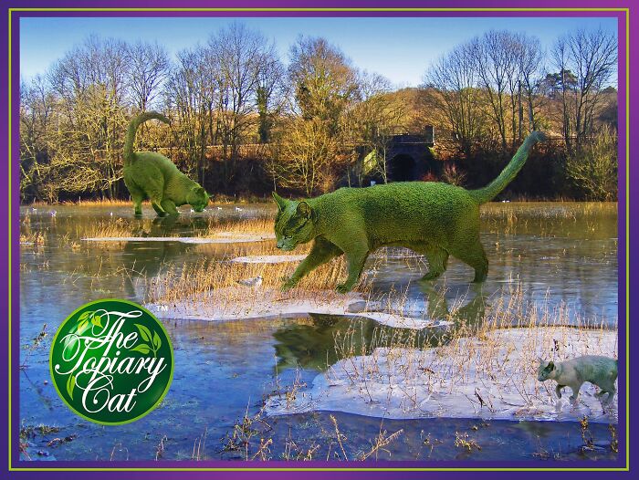 Green cats edited to look like bushes walking on a frozen pond in a natural outdoor setting with bare trees.