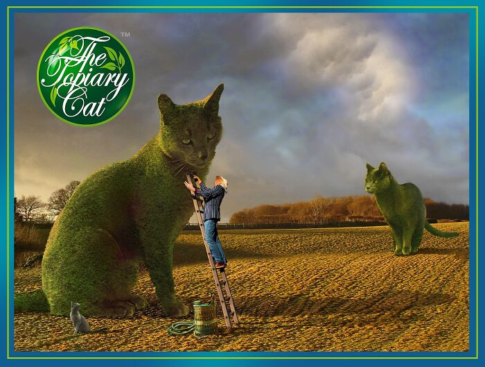 Artist creates cool and interesting edits of his cat transformed into a bush with a person trimming it outdoors.