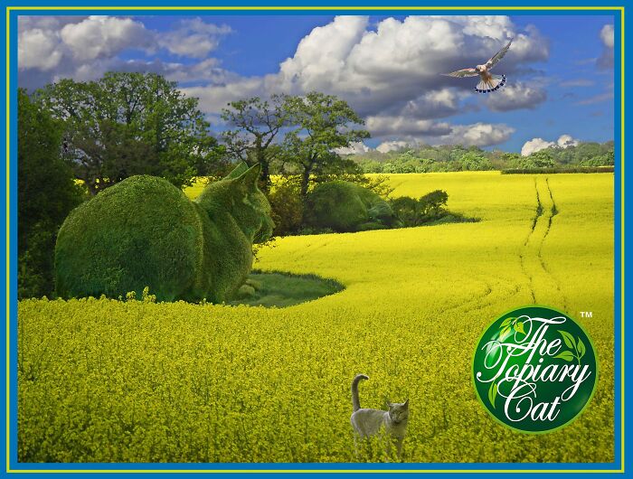 A creative topiary cat shaped like a bush in a vibrant yellow field with a real cat and a bird flying overhead.