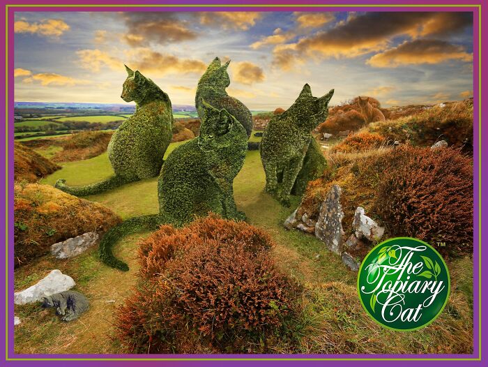 Topiary cat sculptures shaped like cats sitting and standing in a scenic outdoor landscape at sunset.