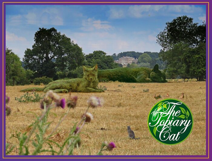 Two large artistic edits of a cat as a bush lying in a dry field with trees and a building in the background.
