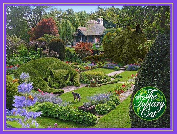 Topiary cat shaped bushes in a garden with colorful flowers and a small real cat walking near the path.