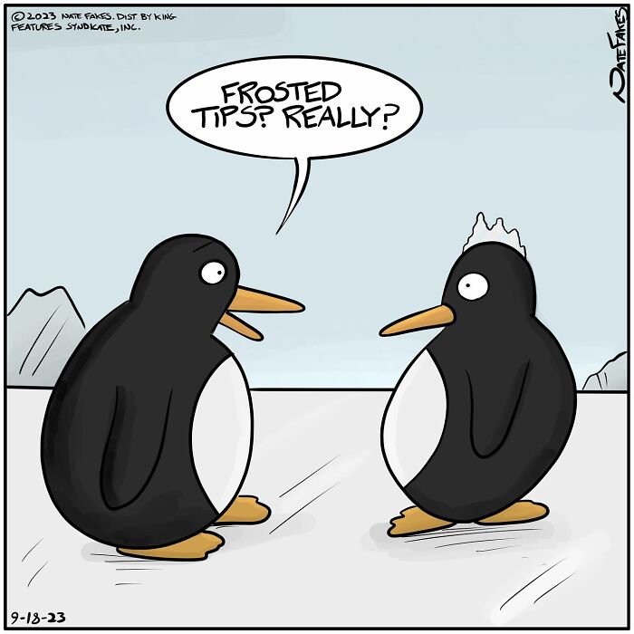 One-panel comic by Nate Fakes showing two penguins, one with a frosted tip, in a snowy landscape.