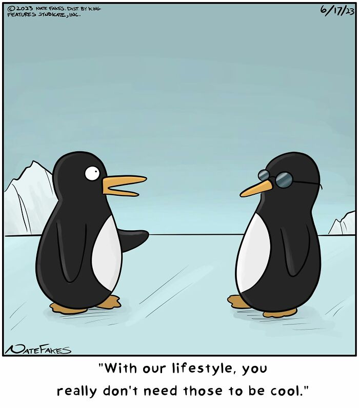 Two penguins on ice, one wearing sunglasses, in a funny Nate Fakes comic from popular one-panel comics series.