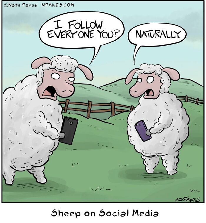 Two sheep holding phones having a social media conversation in a humorous one-panel comic by Nate Fakes.
