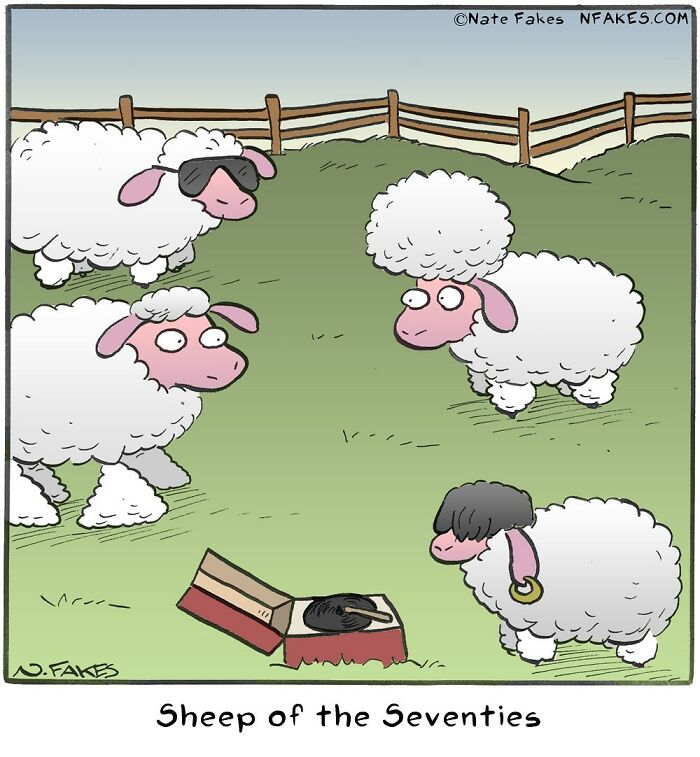 Sheep wearing 1970s style wigs and accessories in a humorous one-panel comic by Nate Fakes.