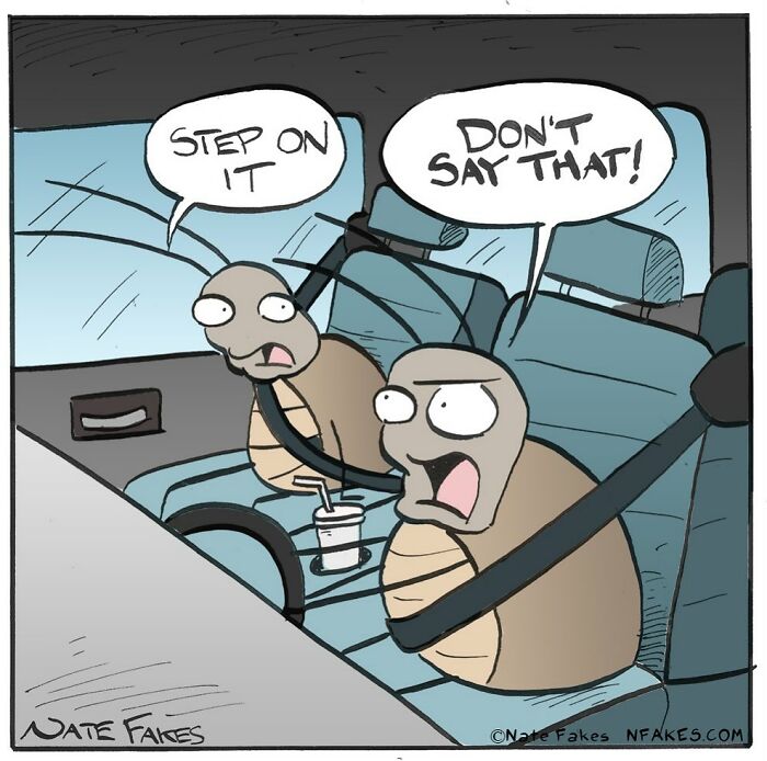 Two turtles in a car wearing seatbelts in a hilarious one-panel comic by Nate Fakes.