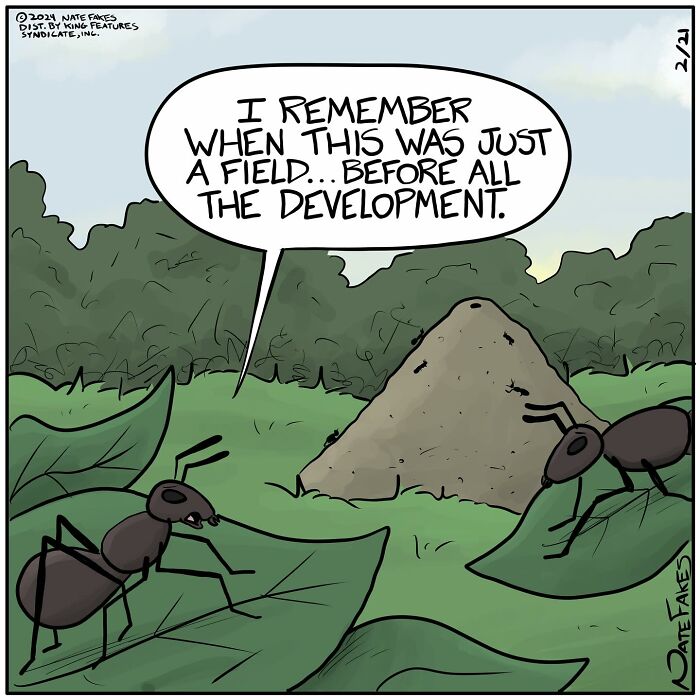 One-panel comic by Nate Fakes showing ants discussing land development with a humorous twist on nature.