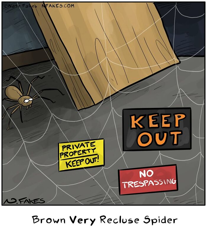 Cartoon of a brown recluse spider surrounded by humorous keep out signs in a one-panel comic by Nate Fakes.