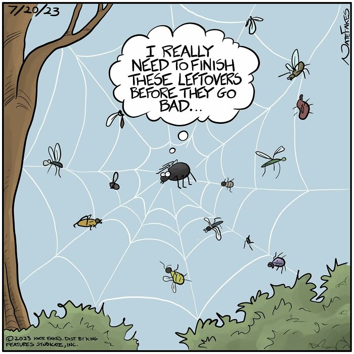 Spider on web surrounded by trapped bugs thinking about finishing leftovers before they go bad in a hilarious one-panel comic.