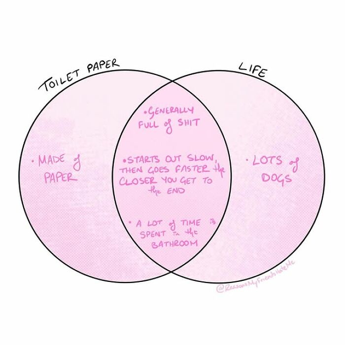 Venn diagram comic comparing toilet paper and life with humorous notes, showcasing self-deprecating comics on everyday awkwardness.