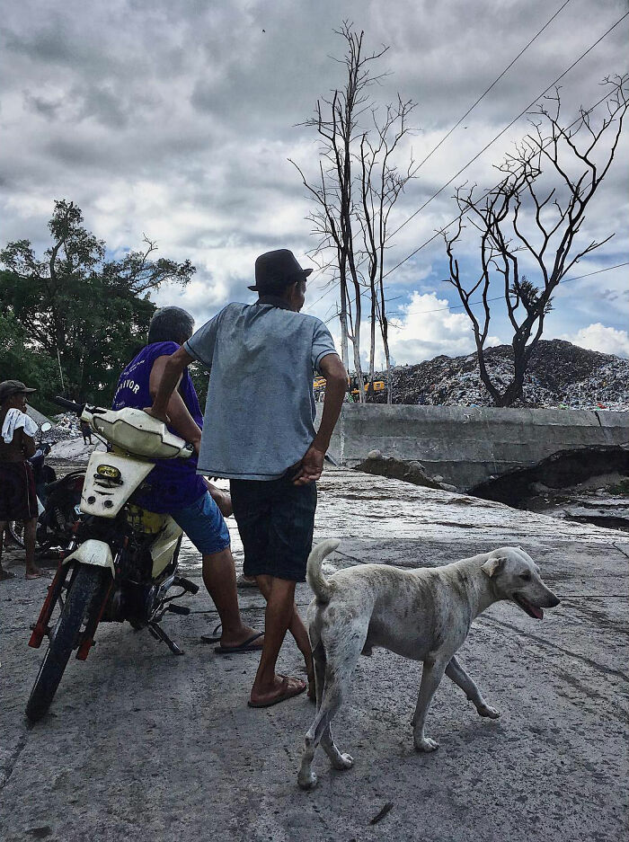 Man standing by a motorcycle with a dog on a street, capturing dogs owning the streets in an urban setting.