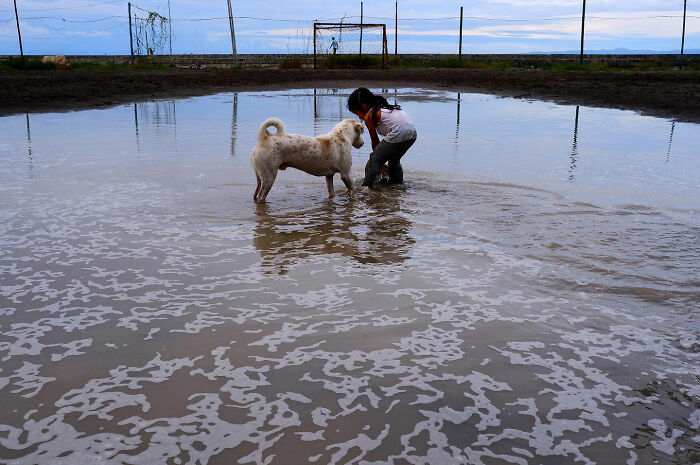Child and dog playing together in a flooded field, captured by photographer showcasing dogs owning the streets.