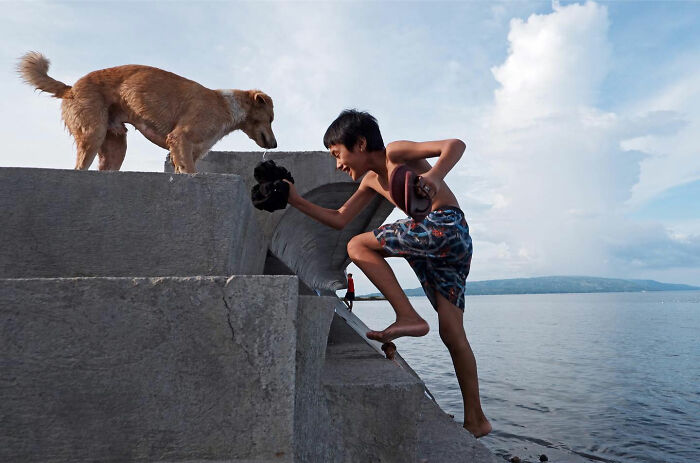 Boy playing with a dog on concrete steps by the water, showcasing dogs owning the streets in a lively urban scene.