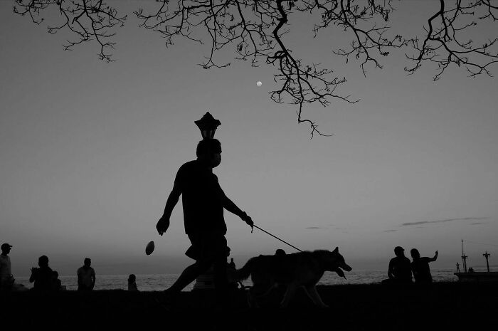 Silhouetted man walking a dog at sunset, showcasing dogs owning the streets in an urban outdoor setting.