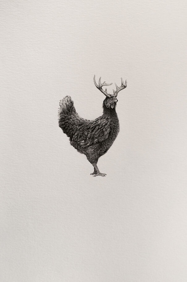 Graphite drawing of a chicken with antlers blending familiar animals into something deeply unsettling.
