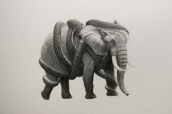 Graphite drawing of an elephant wrapped in textured rope, turning a familiar animal into something deeply unsettling.