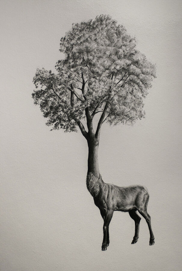 Graphite drawing of a deer with a tree growing from its neck, creating a deeply unsettling surreal image.