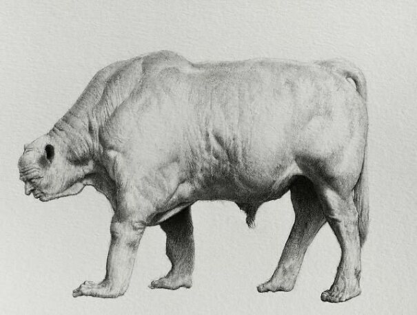 Graphite drawing of a creature with a human face and animal body, turning the familiar into something deeply unsettling.